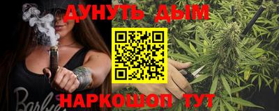 мдпв Бийск